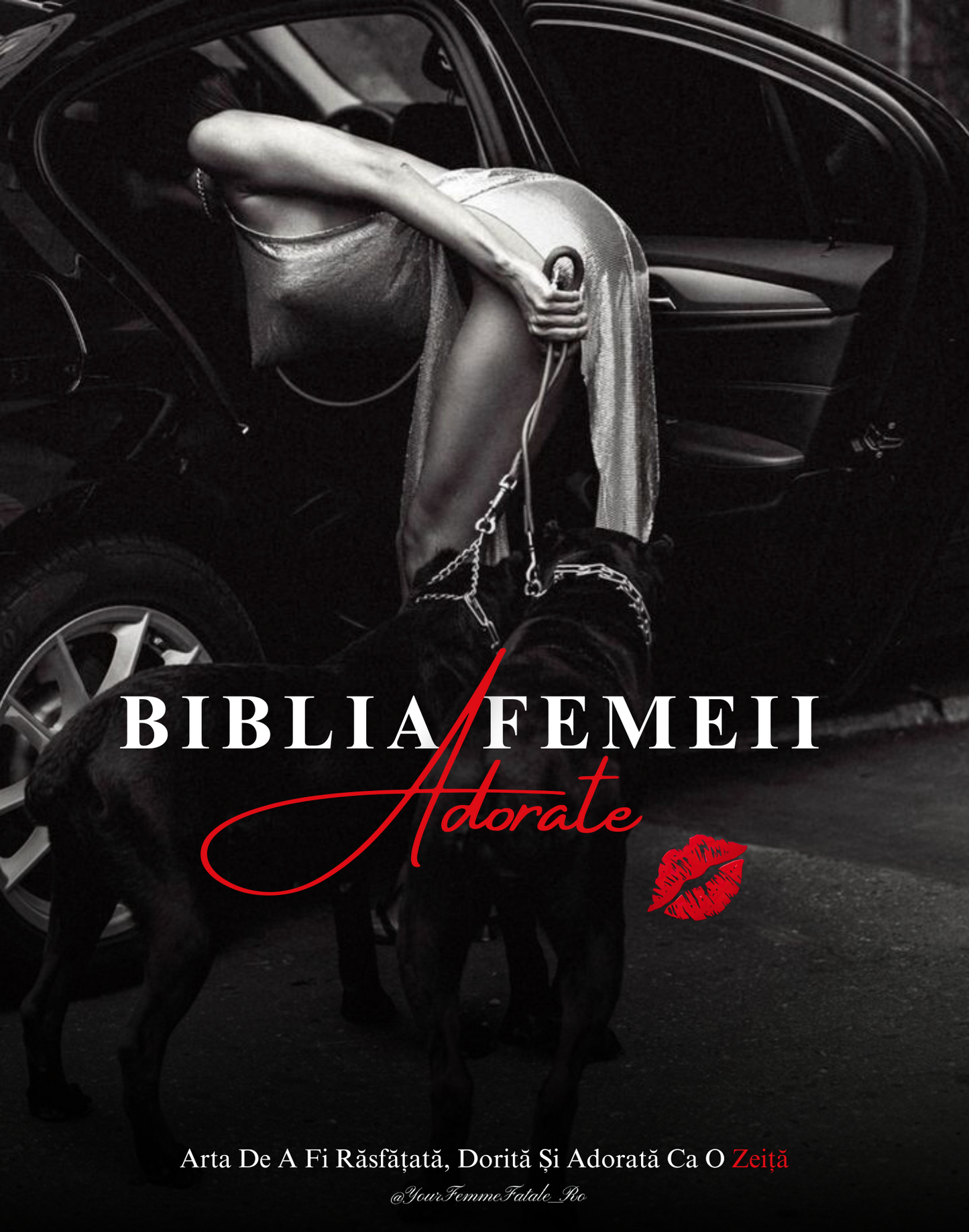 Biblia Femeii Adorate (Deluxe Masterclass II)